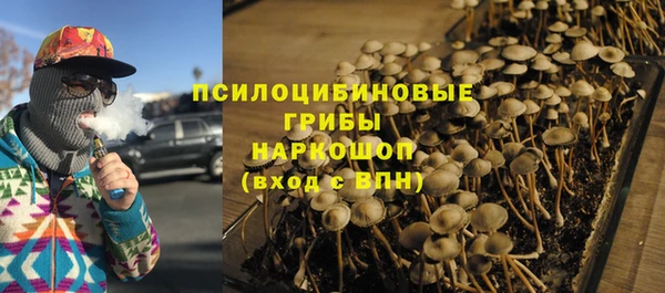 кокс Баксан